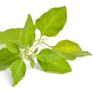 Looksmaxxing Peptides: Complete Guide to Peptides for Appearance Enhancement