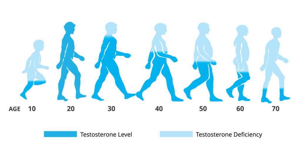 Does Testosterone Make You Taller Height Secrets Or A Myth 